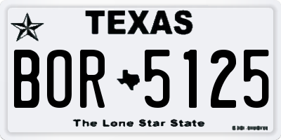 TX license plate BOR5125