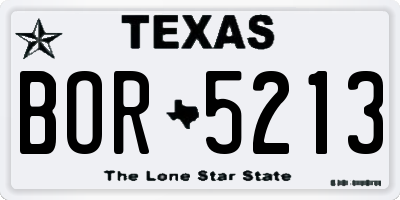 TX license plate BOR5213