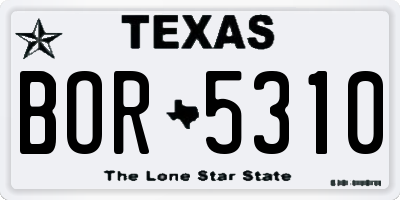 TX license plate BOR5310