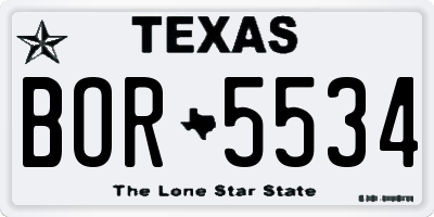 TX license plate BOR5534