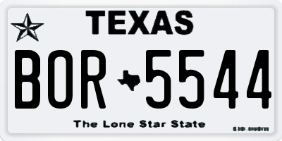 TX license plate BOR5544