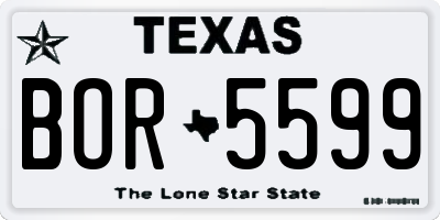 TX license plate BOR5599