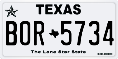 TX license plate BOR5734
