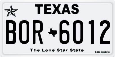 TX license plate BOR6012