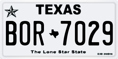 TX license plate BOR7029