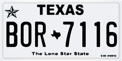 TX license plate BOR7116