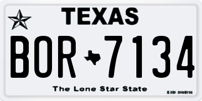 TX license plate BOR7134