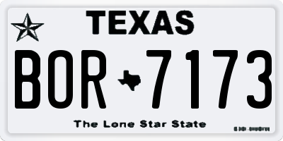 TX license plate BOR7173