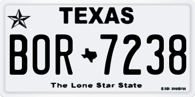 TX license plate BOR7238