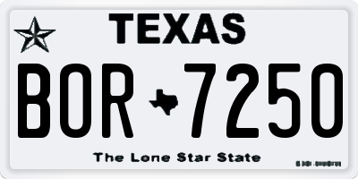 TX license plate BOR7250