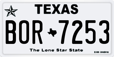 TX license plate BOR7253