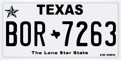 TX license plate BOR7263