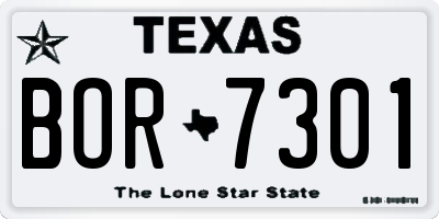 TX license plate BOR7301