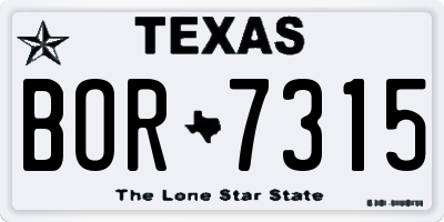 TX license plate BOR7315