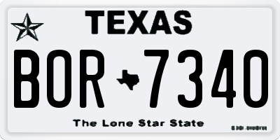 TX license plate BOR7340