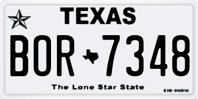 TX license plate BOR7348