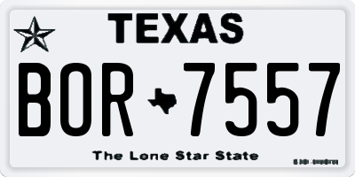 TX license plate BOR7557
