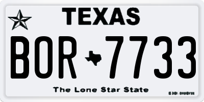 TX license plate BOR7733