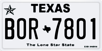 TX license plate BOR7801