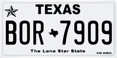 TX license plate BOR7909