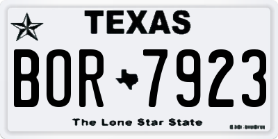 TX license plate BOR7923