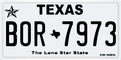 TX license plate BOR7973