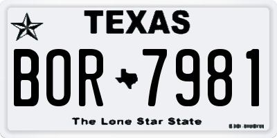 TX license plate BOR7981