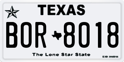 TX license plate BOR8018