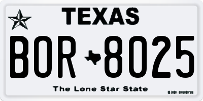 TX license plate BOR8025