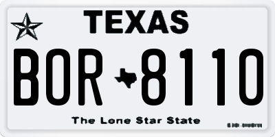 TX license plate BOR8110
