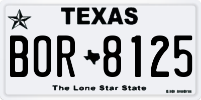 TX license plate BOR8125