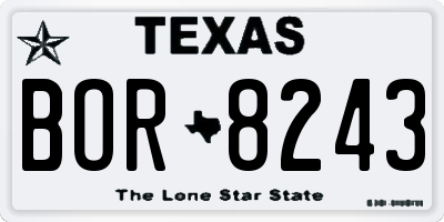 TX license plate BOR8243