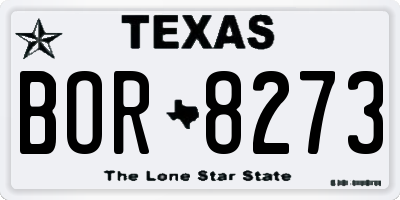 TX license plate BOR8273