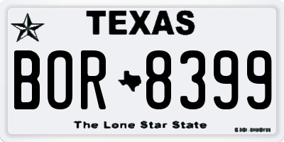 TX license plate BOR8399