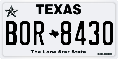 TX license plate BOR8430