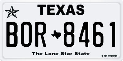 TX license plate BOR8461