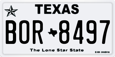 TX license plate BOR8497