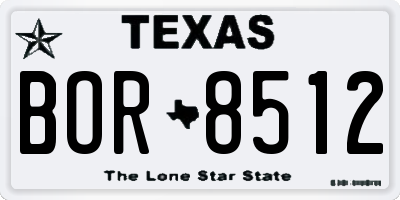 TX license plate BOR8512