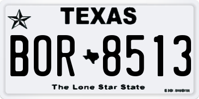 TX license plate BOR8513