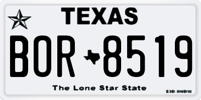 TX license plate BOR8519