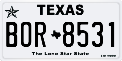 TX license plate BOR8531