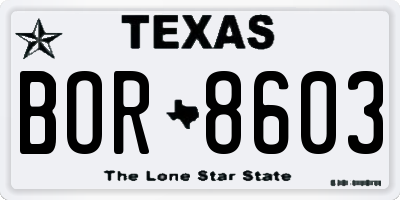 TX license plate BOR8603