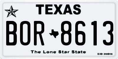 TX license plate BOR8613