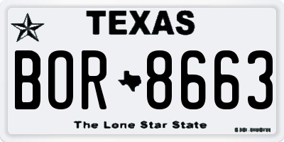 TX license plate BOR8663