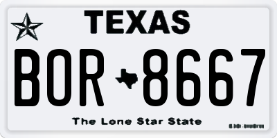 TX license plate BOR8667