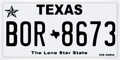 TX license plate BOR8673