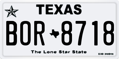 TX license plate BOR8718