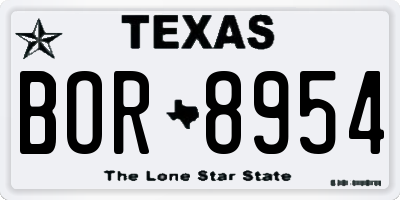 TX license plate BOR8954