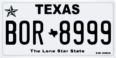 TX license plate BOR8999