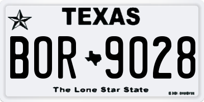TX license plate BOR9028